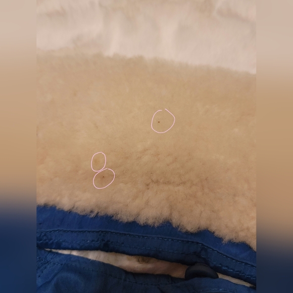 Helmut Lang Sheer Bomber Jacket Cobalt Blue Sz XS 100% Lamb Shearling Fur Collar - Picture 12 of 16